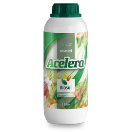 ACELERA  (MOLIBDÊNIO 10% E ZINCO 5% FÓSFORO 11,4%)