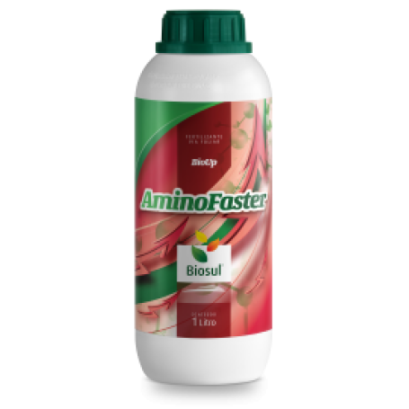 AMINOFASTER 01 LT AMINOÁCIDO