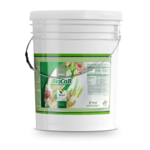 BIO CAB 05 LT (CÁLCIO E BORO) LÍQUIDO  BIO CAB 05 LT (CÁLCIO E BORO) LÍQUIDO