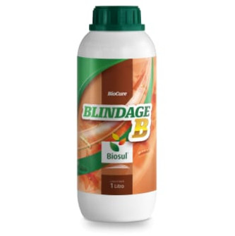 BLINDAGE B - 01LT