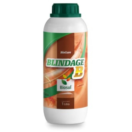 BLINDAGE B - 01LT
