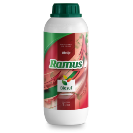 RAMUS 