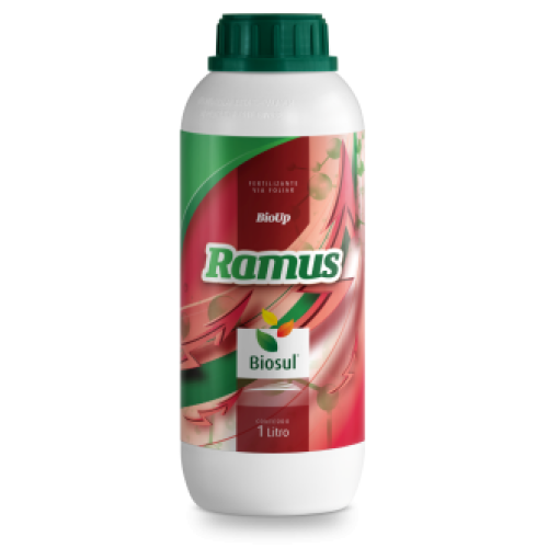 RAMUS RAMUS